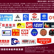 產(chǎn)品宣傳 (15)