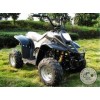 110CC沙灘車(chē)恐龍款四輪摩托車(chē)超低價(jià)越野車(chē)