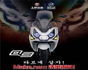 韓國(guó)大林 Q3 250T (17)