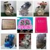 專業(yè)生產(chǎn)和銷售三輪摩托車發(fā)動機(jī)